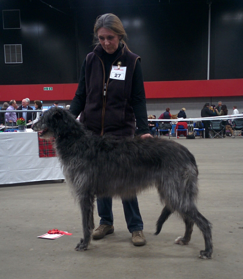 Reseve CC winners Scottish Breeds 2011